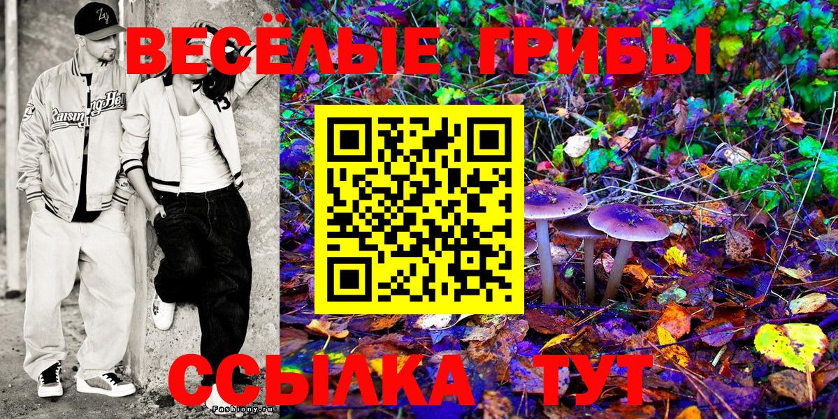 Майский  Псилоцибиновые грибы Psilocybine cubensis  Вход с VPN  Псилоцибиновые грибы мухоморы 