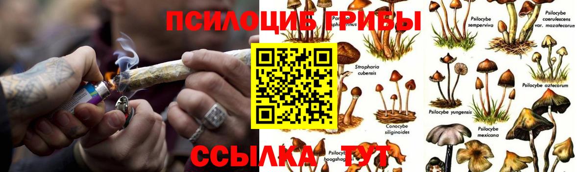 Галлюциногенные грибы мицелий Майский